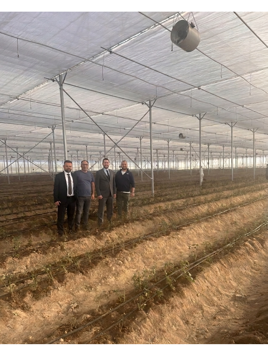 Rosen Tarım A.Ş. yeni modern serasında, ilk kesme gül ekimini gerçekleştirdi.