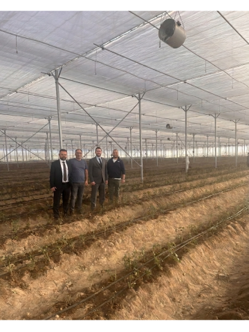 Rosen Tarım A.Ş. yeni modern serasında, ilk kesme gül ekimini gerçekleştirdi.